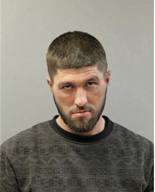 IBRO MRAVIC, Cook County, Illinois