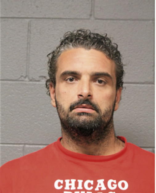 SLAVKO NISAVIC, Cook County, Illinois