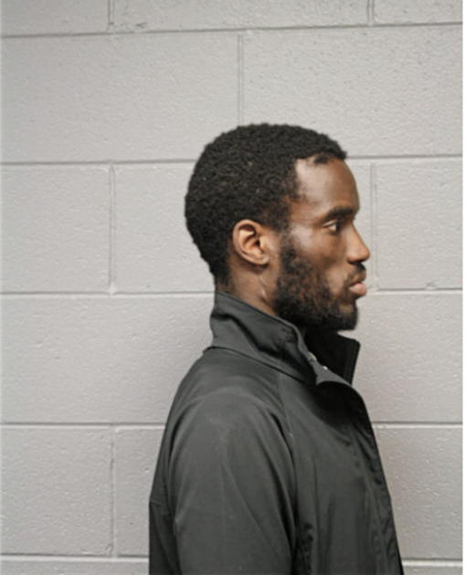LAMAR S NORFLEET, Cook County, Illinois