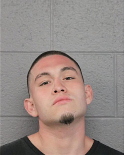 FABIAN OJEDA, Cook County, Illinois