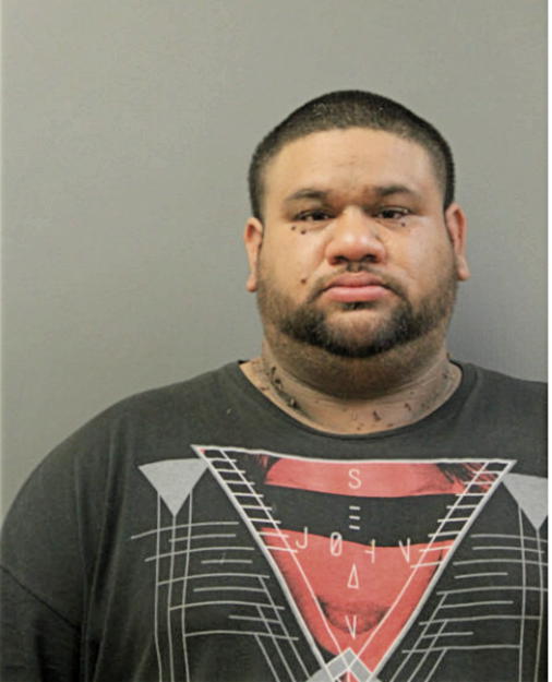 JONATHAN O ORTIZ, Cook County, Illinois