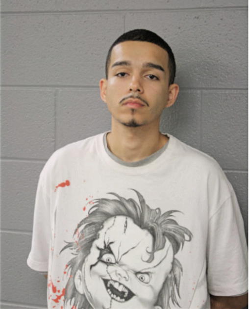 NESTOR ROSARIO, Cook County, Illinois