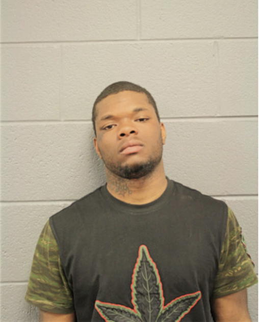DANIEL J ROWE, Cook County, Illinois
