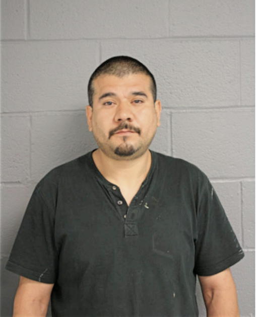 EDGAR R SALINAS-URIBE, Cook County, Illinois