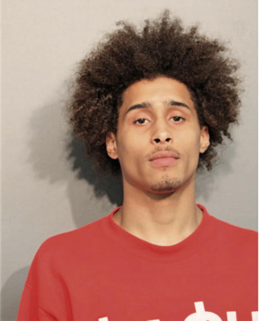 SHANE A SMITH, Cook County, Illinois
