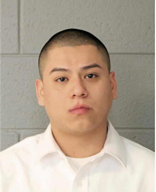 JONATHAN TORRES, Cook County, Illinois