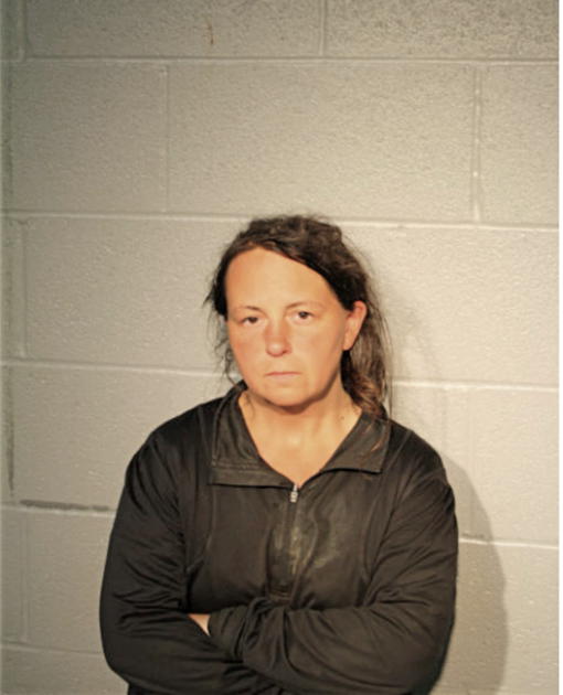 YVONNE E WALLGREN, Cook County, Illinois