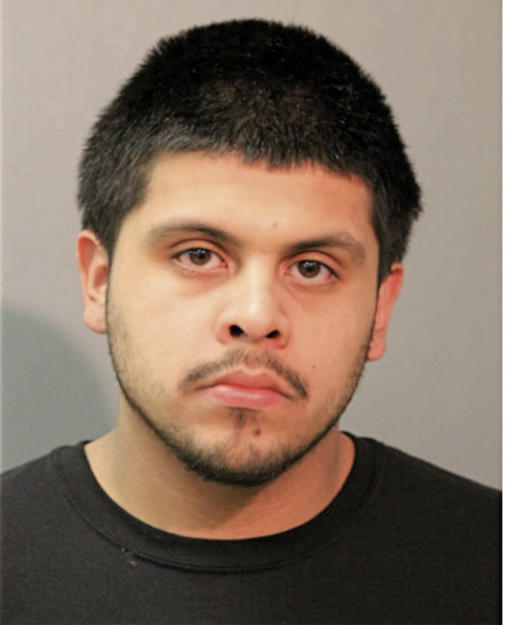 LEONEL I ACOSTA, Cook County, Illinois