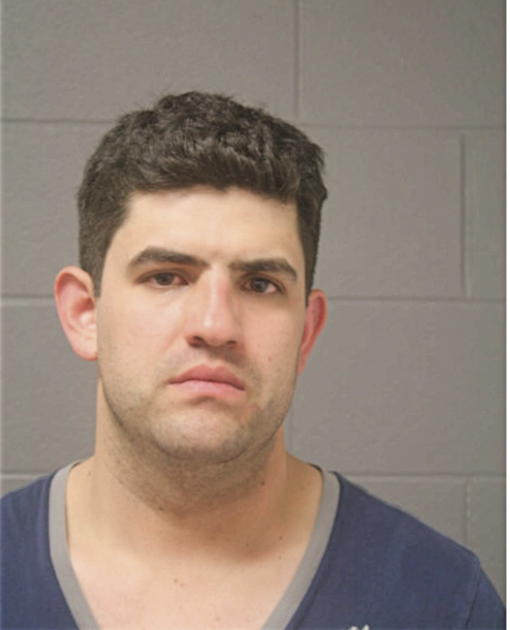 JOSE F ALDANA ESTRADA, Cook County, Illinois