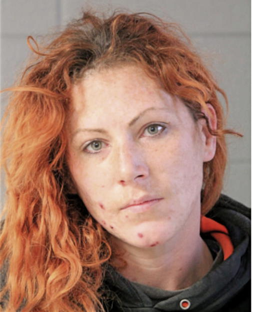 LAURA L AYDELOTTE, Cook County, Illinois