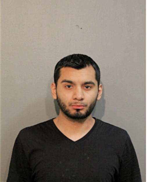 ELIU A AZPEITIA, Cook County, Illinois