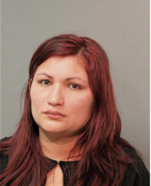 IRMA Y CASTREJON, Cook County, Illinois