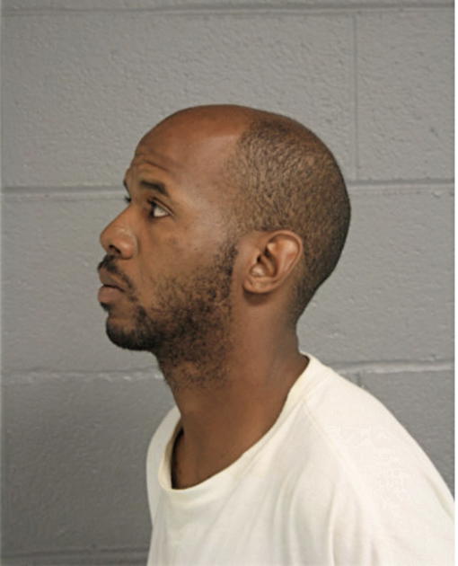 TERRENCE D CHEATHAM, Cook County, Illinois