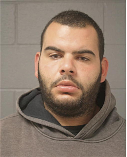 MOHAMED H ELAYYAN, Cook County, Illinois