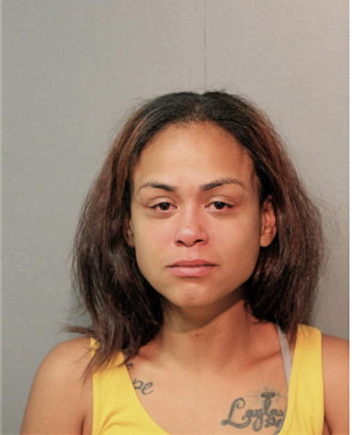 SAMANTHA J FELIX, Cook County, Illinois