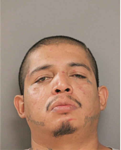 ELLIOT A FLORES, Cook County, Illinois