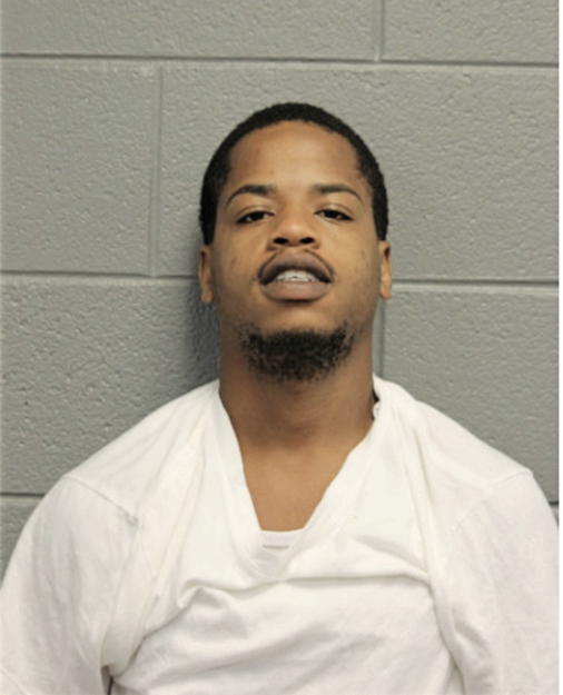 DAVID L FORD, Cook County, Illinois