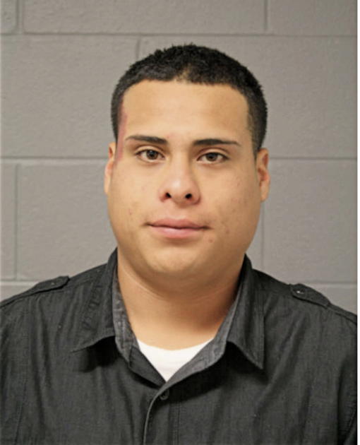 JONATHAN B GUZMAN, Cook County, Illinois