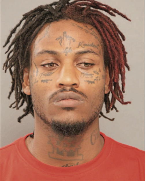 LORENZO J HARRIS, Cook County, Illinois