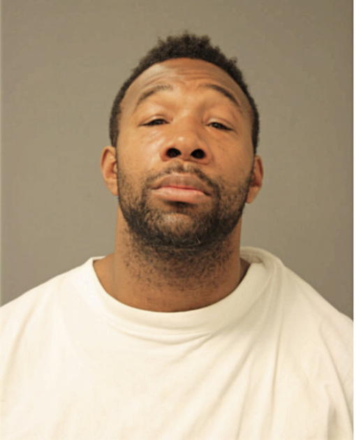 MICHAEL S JOHNSON, Cook County, Illinois