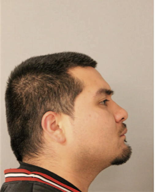 RICARDO REYES, Cook County, Illinois