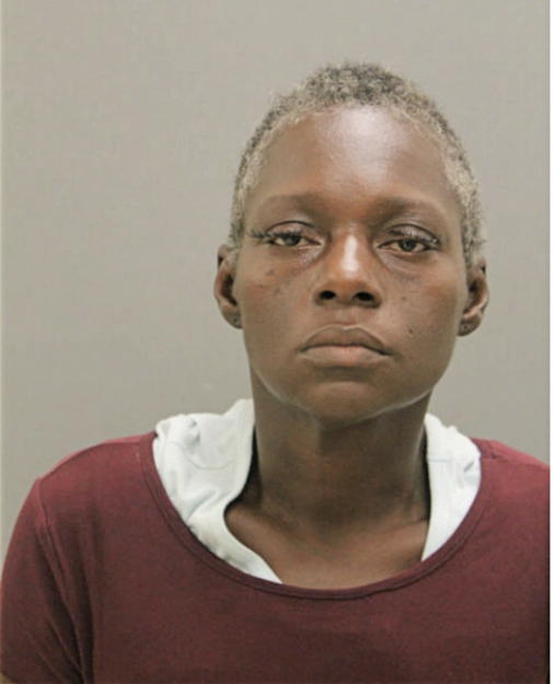 KAREN E ROBINSON, Cook County, Illinois