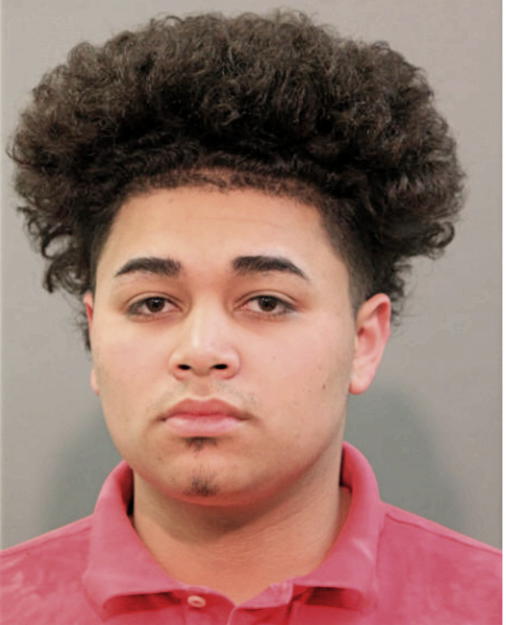 CHRISTOPHER D ROMAN, Cook County, Illinois