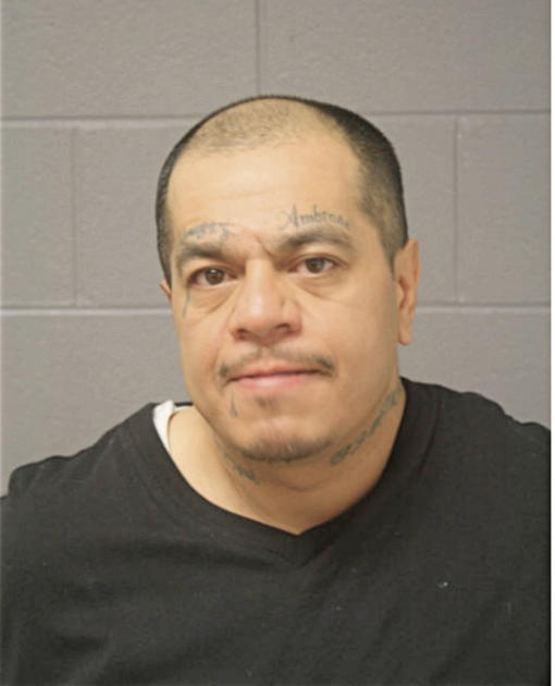 HECTOR B SERRANO, Cook County, Illinois