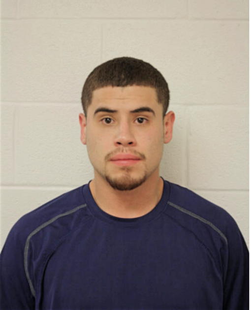 JULIAN J SERRANO, Cook County, Illinois