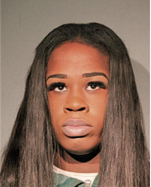 BRIANNA A ULMER, Cook County, Illinois