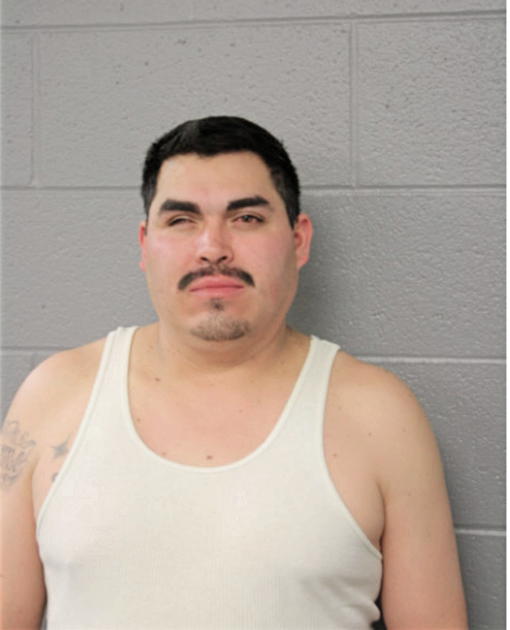 CARLOS VALENZUELA, Cook County, Illinois