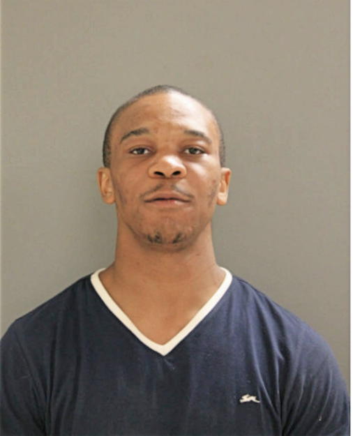 HAYES B WHITE, Cook County, Illinois