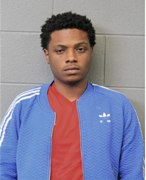 JAY R BINION, Cook County, Illinois