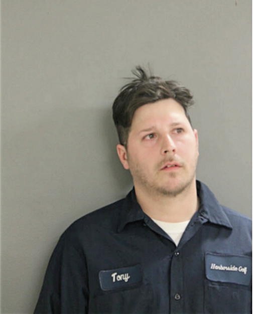 ANTHONY K BOROWSKI, Cook County, Illinois
