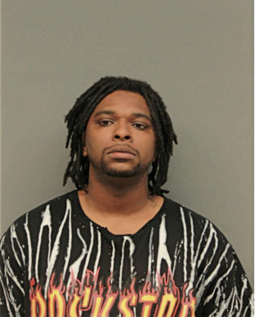 STEVEN E BRADLEY, Cook County, Illinois