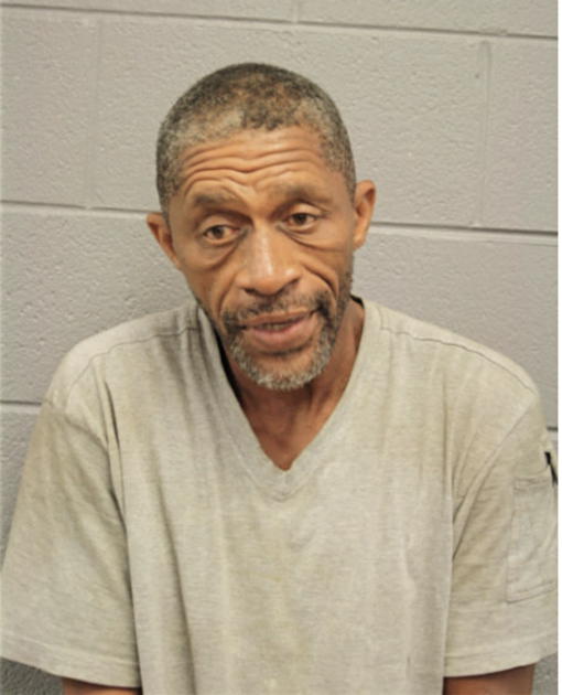 STEPHEN L BROWN, Cook County, Illinois