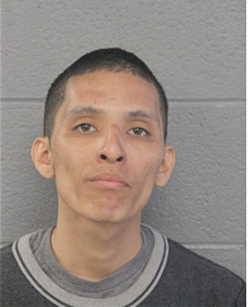 MARVIN FAVELA-MONTELONGO, Cook County, Illinois