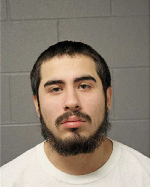 ANTHONY M FLORES, Cook County, Illinois