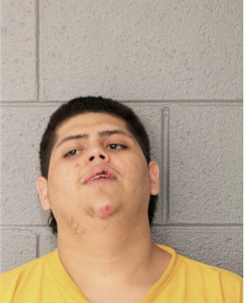 LUIS GUARIADO, Cook County, Illinois