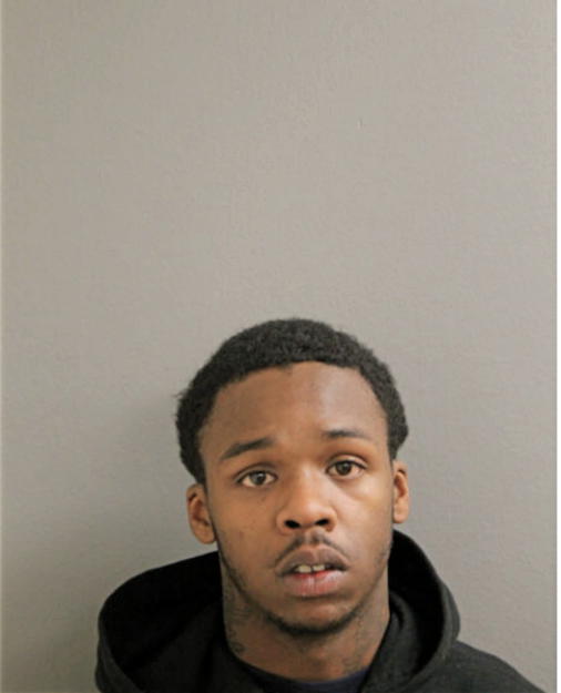 JERRY J HARRIS, Cook County, Illinois