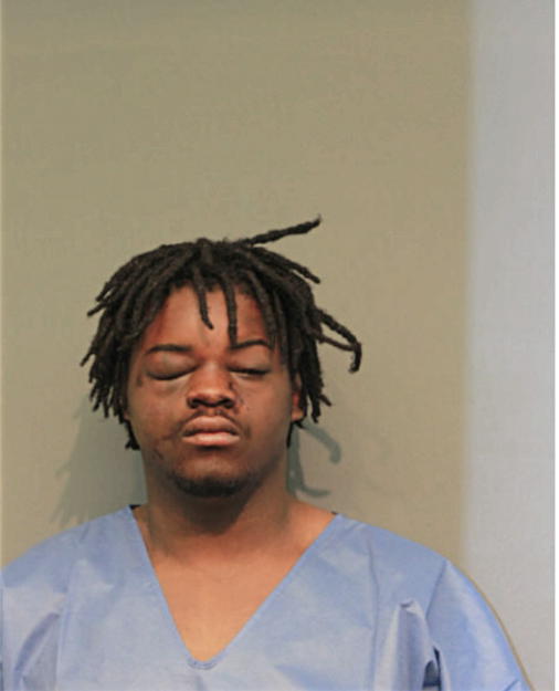 ELIJAH A HAYNES, Cook County, Illinois
