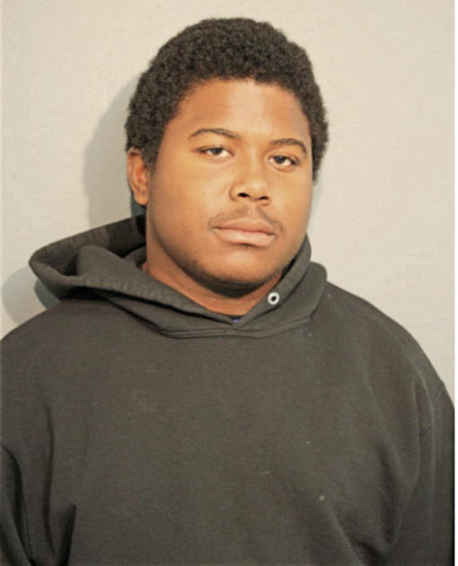 BRIAN L HENDERSON, Cook County, Illinois