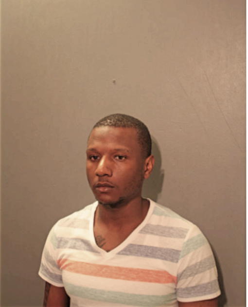 SHAUN M HORTON, Cook County, Illinois