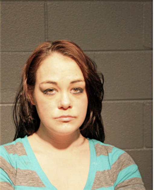 SARAH E LYON, Cook County, Illinois