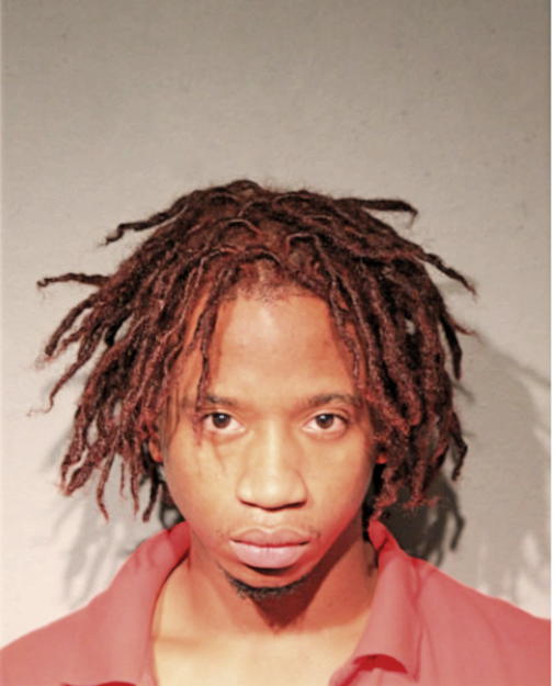 STANLEY D NEWSOME, Cook County, Illinois