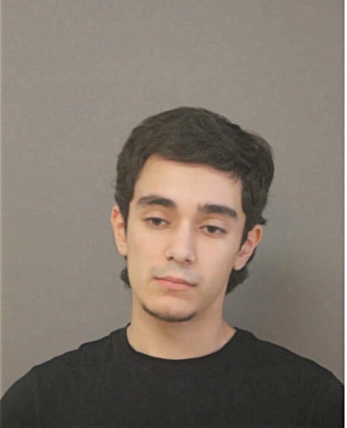 MICHAEL SILVA, Cook County, Illinois