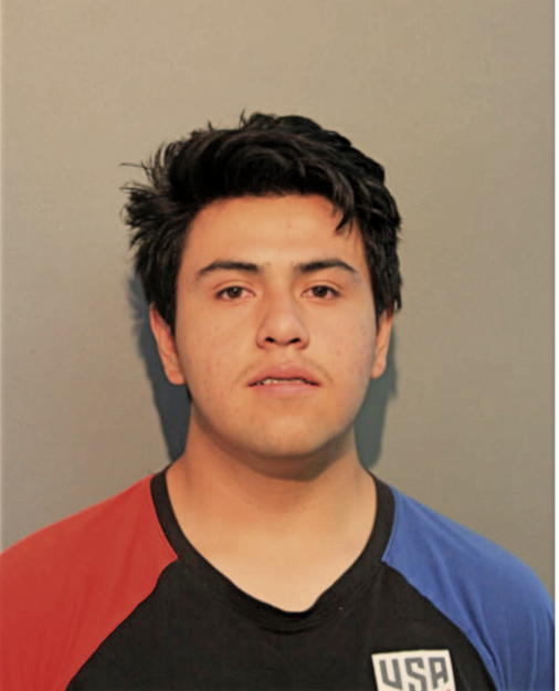 BRYAM P VASQUEZ, Cook County, Illinois