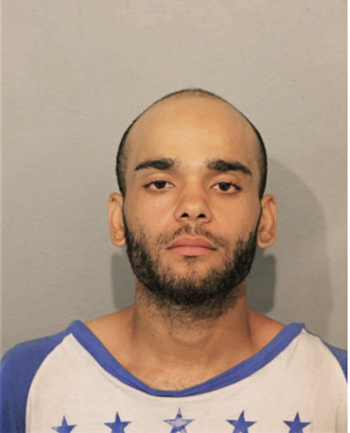 BRYAN VIGO, Cook County, Illinois