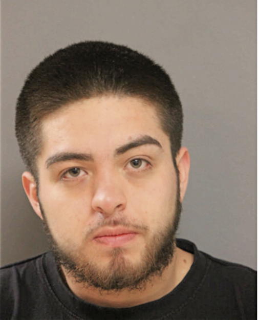 BRIAN VILLEGAS-PULGARIN, Cook County, Illinois