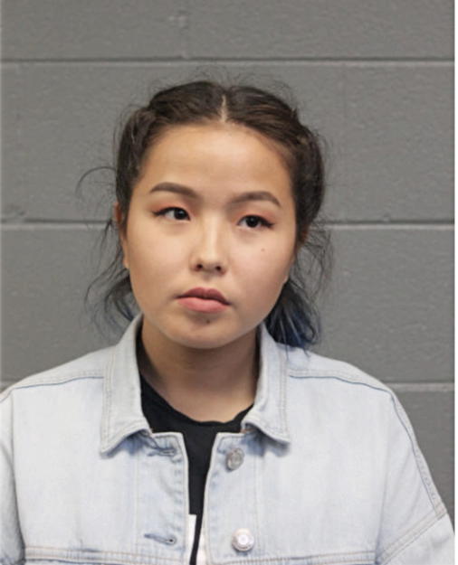 DANA A ZINULLINA, Cook County, Illinois